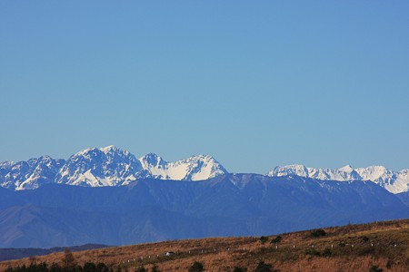 霧ヶ峰から（北アルプスの山並み）