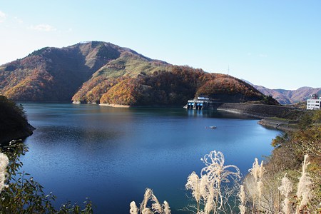 晩秋の九頭竜湖(3)