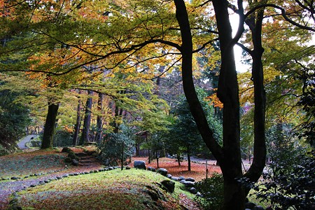 山中温泉　桜の公園