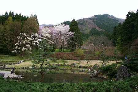 樹木公園(2)　森林の中に庭園が！