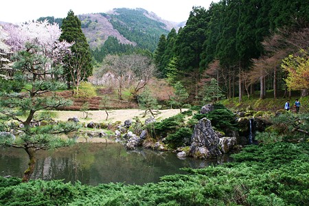 樹木公園(1)　日本庭園　（森林の中に！）