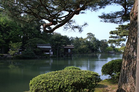 松と霞が池　内橋亭