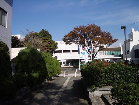 図書館