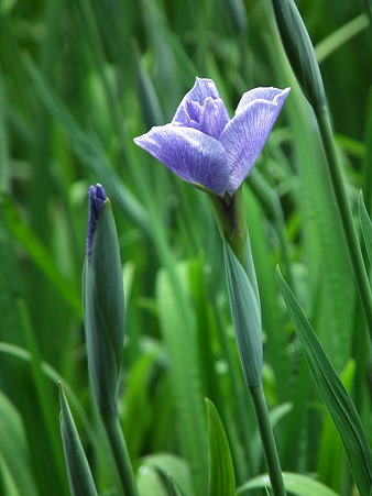 DSCF0069