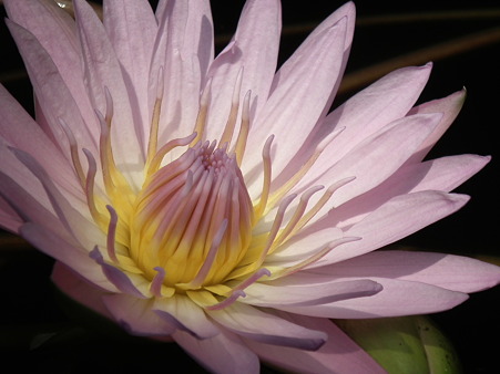DSCF0365