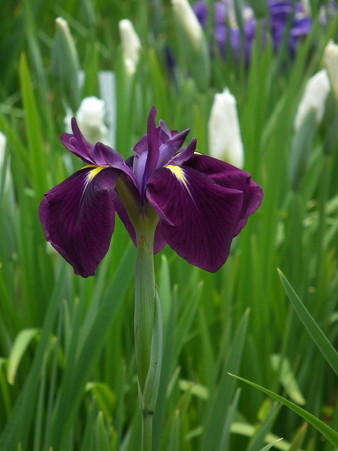 DSCF0188