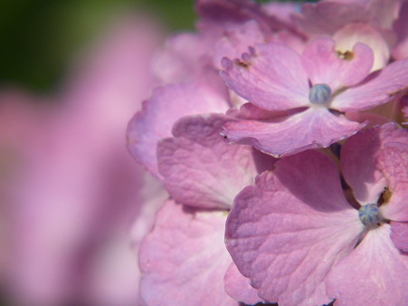 DSCF0636