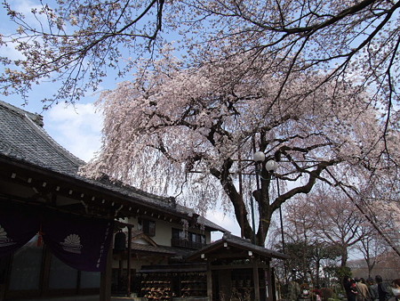 2008_03280166