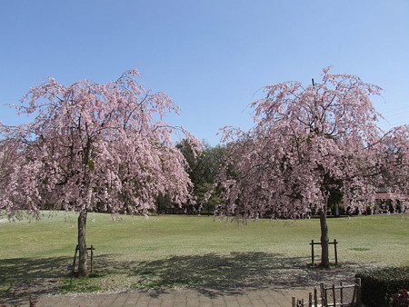 2008_04110037