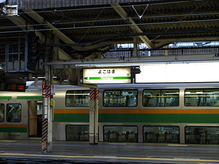 ２３１系東海道線（横浜駅）