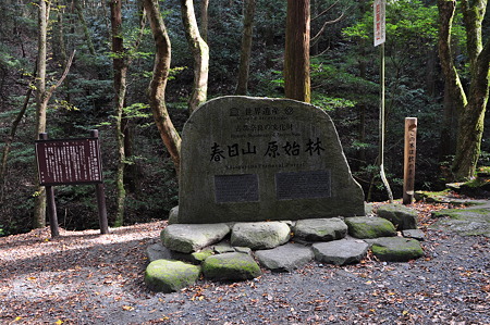 春日山原始林の標