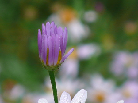P1070458