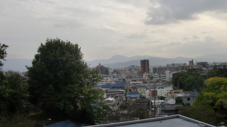 CIMG3691