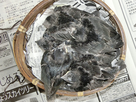 みんな大きくなった