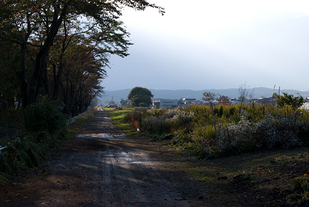 遊歩道のすぐ脇の道路_の反対