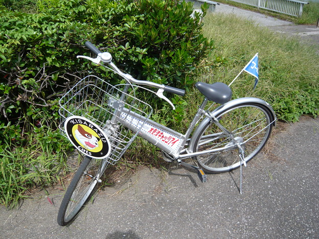P1000051