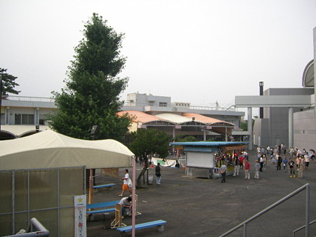 ddt 004