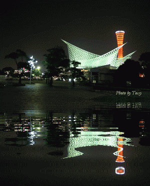 メリケンパーク夜景２