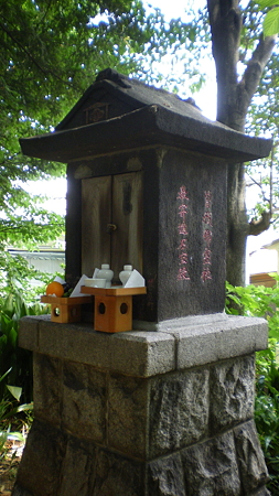 IMGP5413