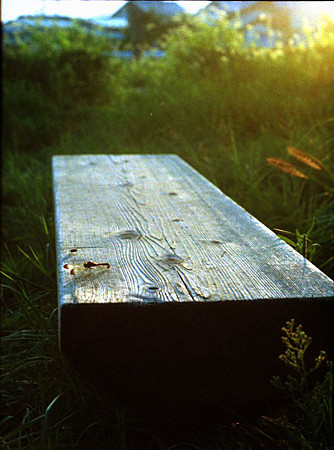 Image0073（KONICA AUTOREX P）