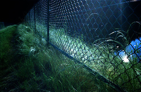 Image0151（PENTAX MX）