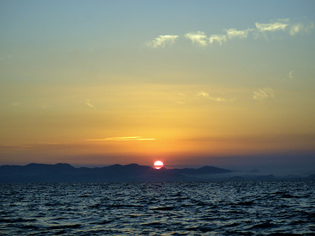 DSC03233