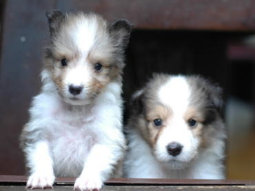 2Boys