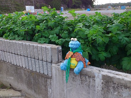 七ヶ浜