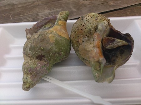 食楽まつり