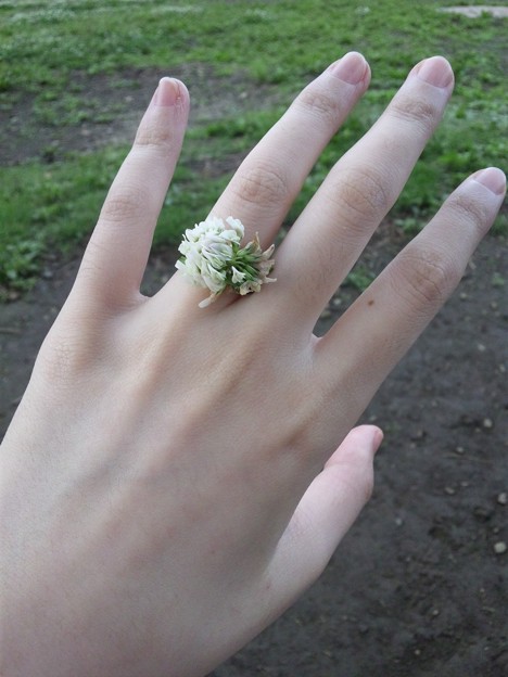 花の冠の作り方がわからないので指輪ｗ Photo Sharing Photozou