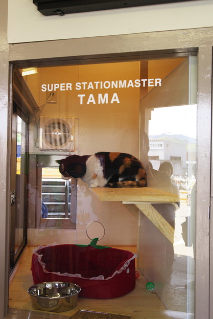 たまスーパー駅長008