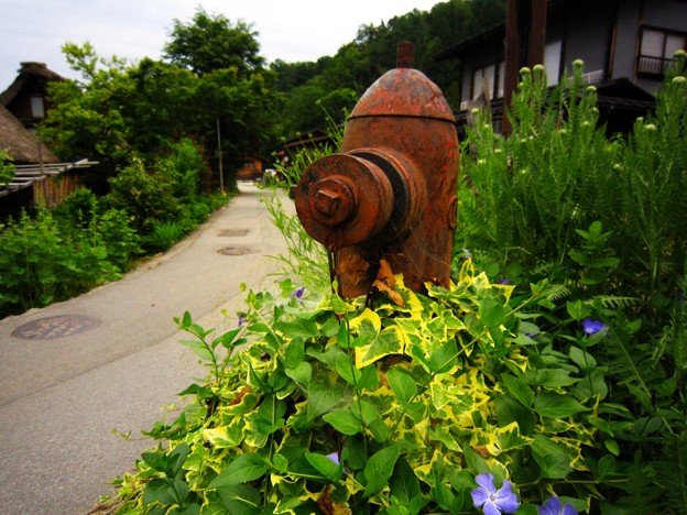 白川村