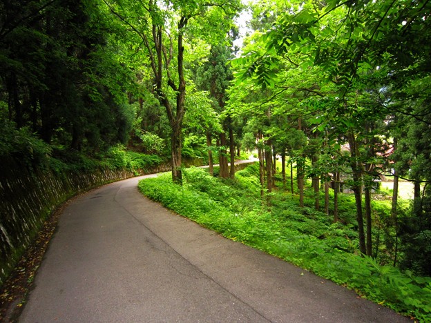 白川村