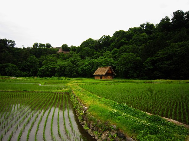 白川村