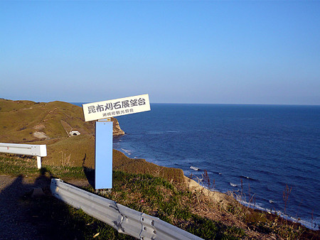 RJ_2008_11_03_009