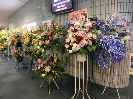 CIMG0224