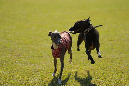 1024-IMGP5948
