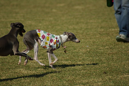 1024-IMGP6056