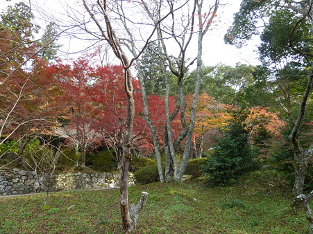 観心寺～高取城 007