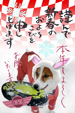 2011nenga