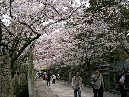 桜の馬場２