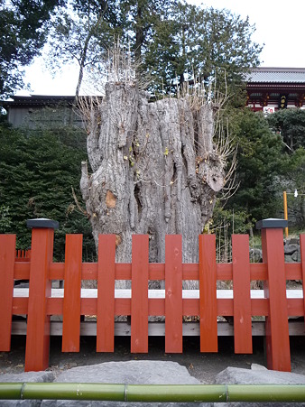 110115-八幡さま境内 (4)