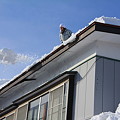 屋根の雪下ろしー１
