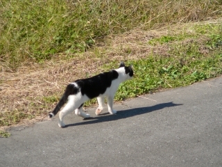 安心して