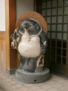 タヌキ2