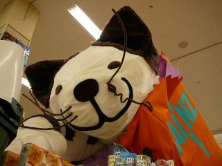 ラッピング猫