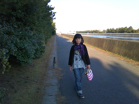 猫の手貸します。