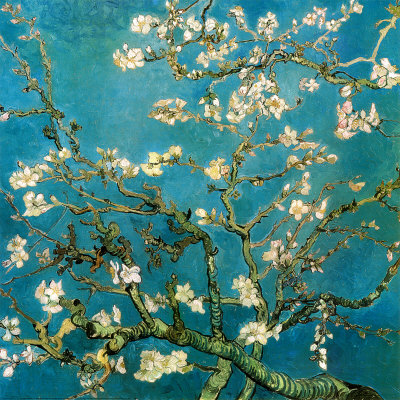 8646~Almond-Branches-in-Bloom-1890-Posters