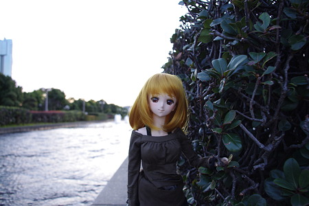画像 087