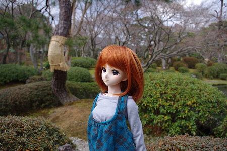 画像 041